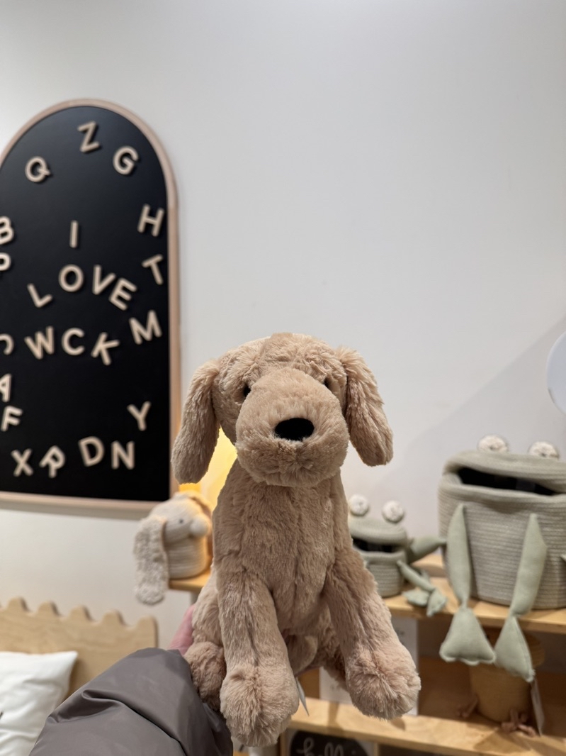 こんにちは、ジェリーキャットとヨークシャーテリア好きの皆さん