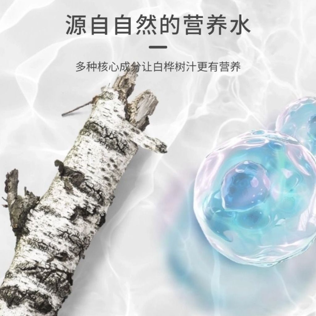 白樺樹汁食品級白樺樹萃取物白樺樹汁粉樺含量高功能性營養強化250公克 | 蝦皮購物
