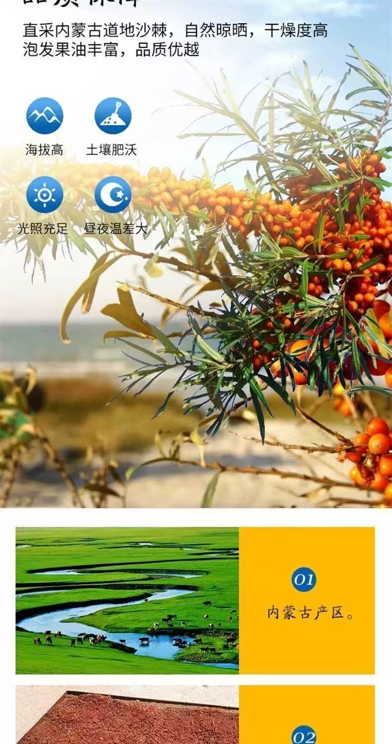 【夏季新品】沙棘果 沙刺果乾顆粒原漿泡水 果茶沙棘果沙棘汁大果自然晾曬天然零食休閒零食 | 蝦皮購物
