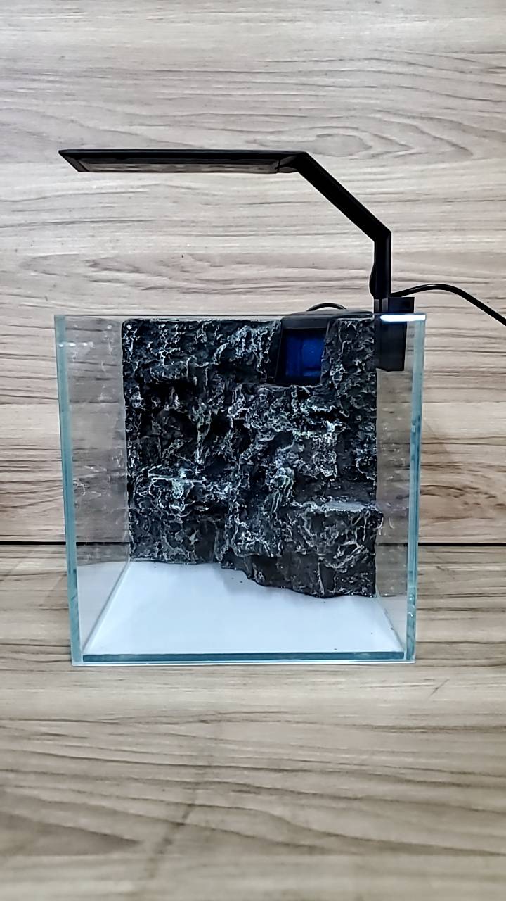 超白缸（超白玻璃缸+3D背景+角落型內掛過濾器 ) 山景缸 3D背景岩板 造景缸 魚缸 小型缸 背濾缸 金金水族 | 蝦皮購物