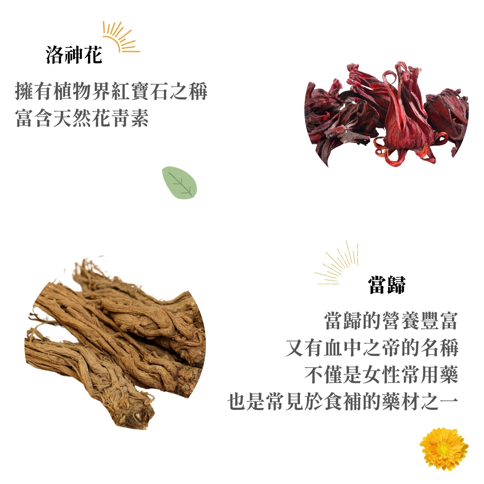 丹蔘活絡茶｜促進新陳代謝 滋補強身｜15入｜晉義參藥行｜漢方茶飲 養生茶 新莊老店 台灣製作 | 蝦皮購物