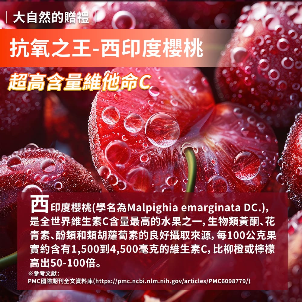 未來森活【植萃維C】西印度櫻桃30粒｜ 維生素C 抗氧化 維生素 | 蝦皮購物