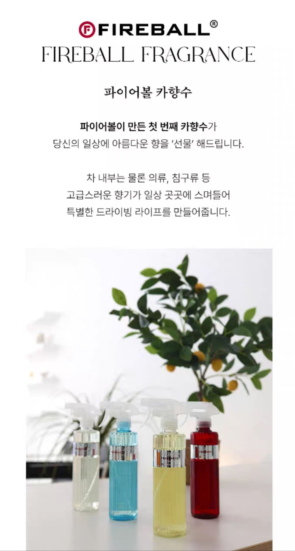 FIREBALL 韓國火球 REBORN FRAGRANCE 麗邦車載香氛 清新柑橘清香 | 蝦皮購物