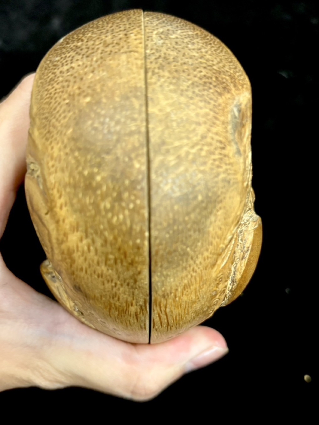 虎皮台灣天然竹頭筊杯刺竹頭 6星（滿星） 老竹頭 刺竹頭吸取日月精華 靈性較強 信眾與神明溝通能更加靈驗 應筊穩健 | 蝦皮購物