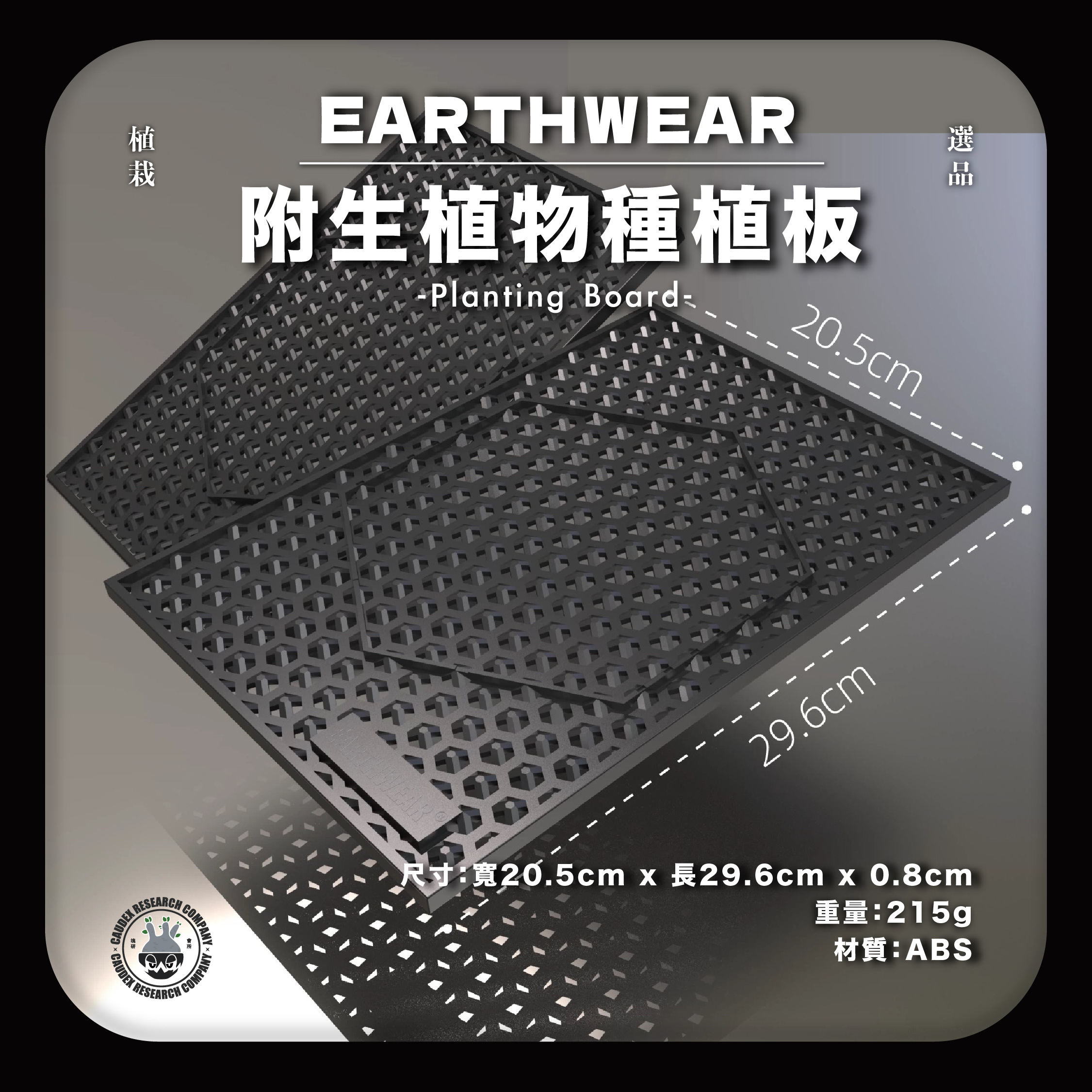 EARTHWEAR 鹿角蕨種植板 附贈固定螺絲 現貨 附生植物種植板 仿生板 霧黑 亞猴 女王 侏儒鹿角蕨 細菌 珍妮 | 蝦皮購物