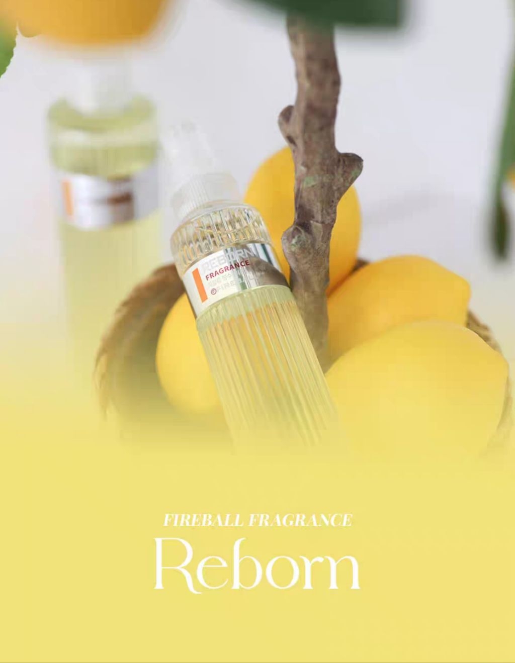 FIREBALL 韓國火球 REBORN FRAGRANCE 麗邦車載香氛 清新柑橘清香 | 蝦皮購物