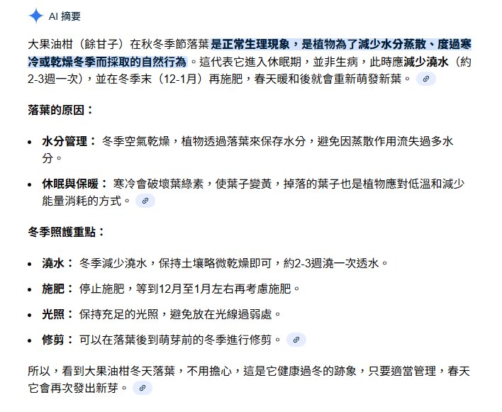 大果油柑🟡嫁接.高壓苗🟡豐產2026年+大果品種 抗寒 抗熱 全台灣都能種植 油 …