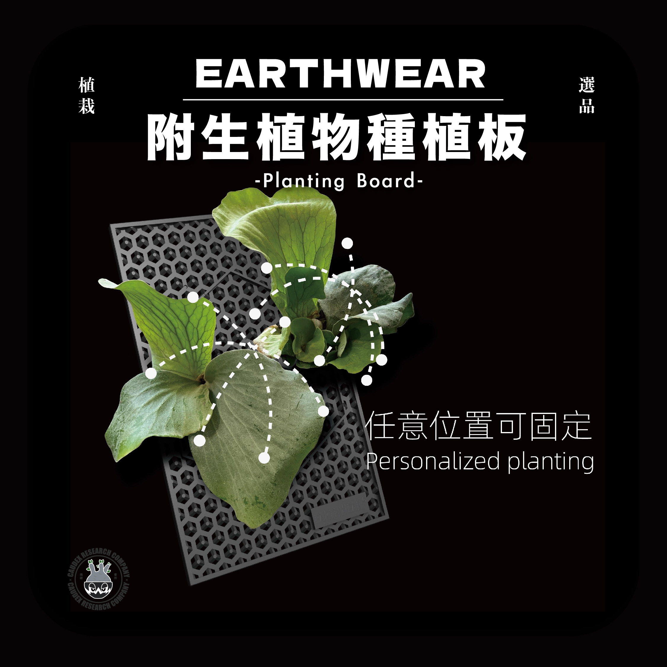 EARTHWEAR 鹿角蕨種植板 附贈固定螺絲 現貨 附生植物種植板 仿生板 霧黑 亞猴 女王 侏儒鹿角蕨 細菌 珍妮 | 蝦皮購物