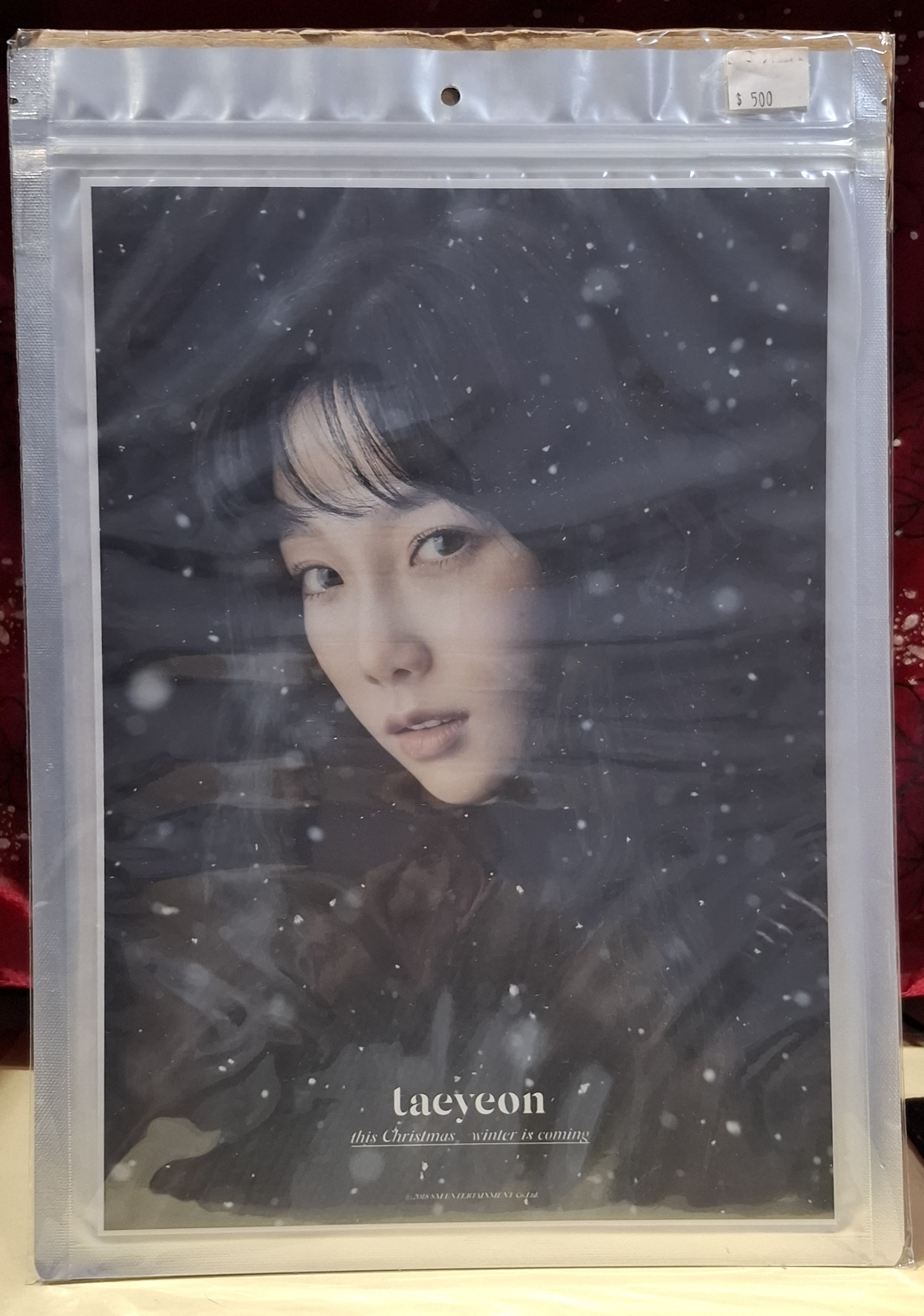 太妍 TAEYEON官方 A4 照片Purpose 4季 Why TTS周邊 | 蝦皮購物