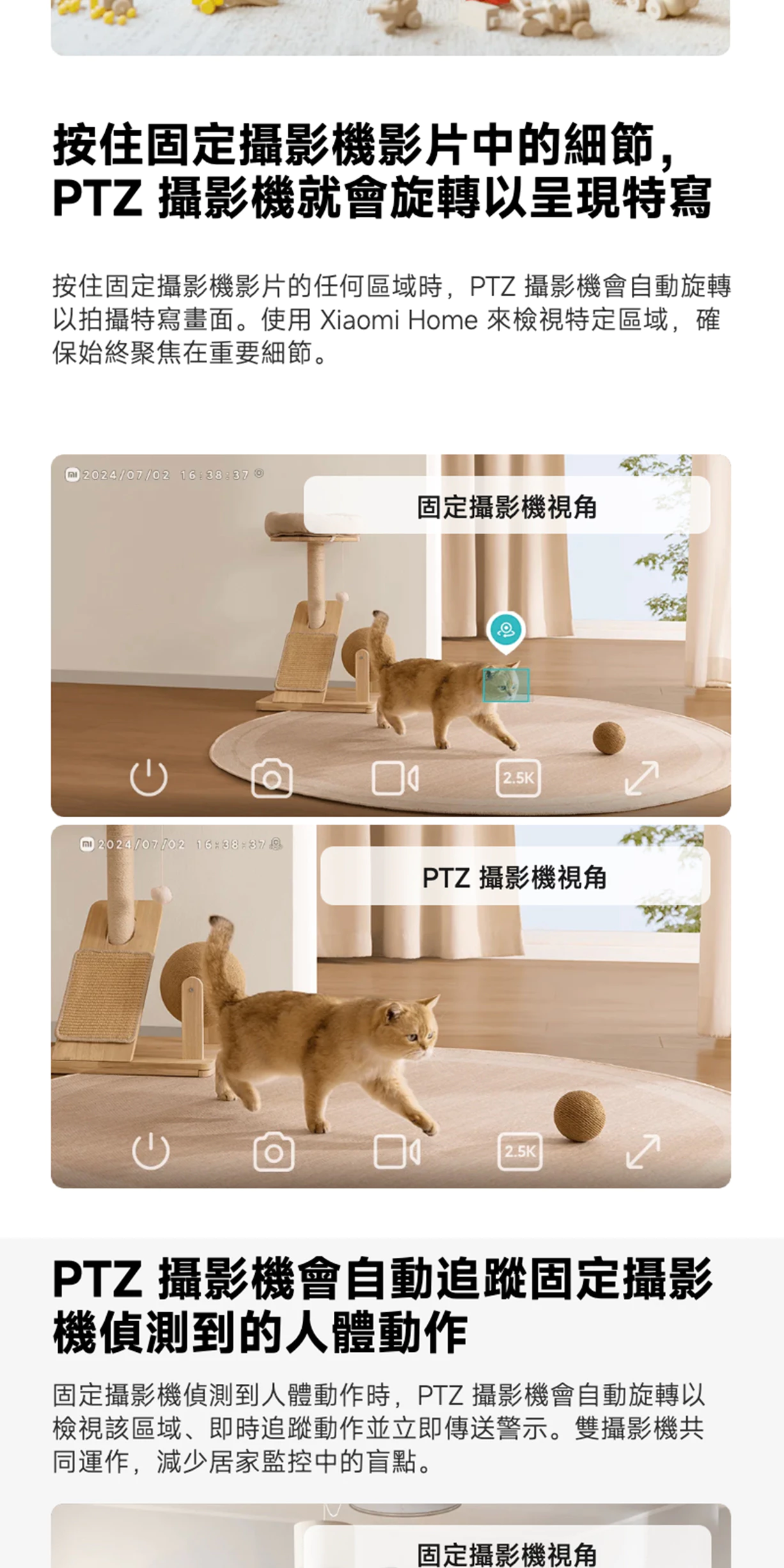 室內外 WiFi 監視器推薦與比較：Tapo、小米、Yoosee 怎麼選？PTT、Dcard 常見差異一次看 (37/53)