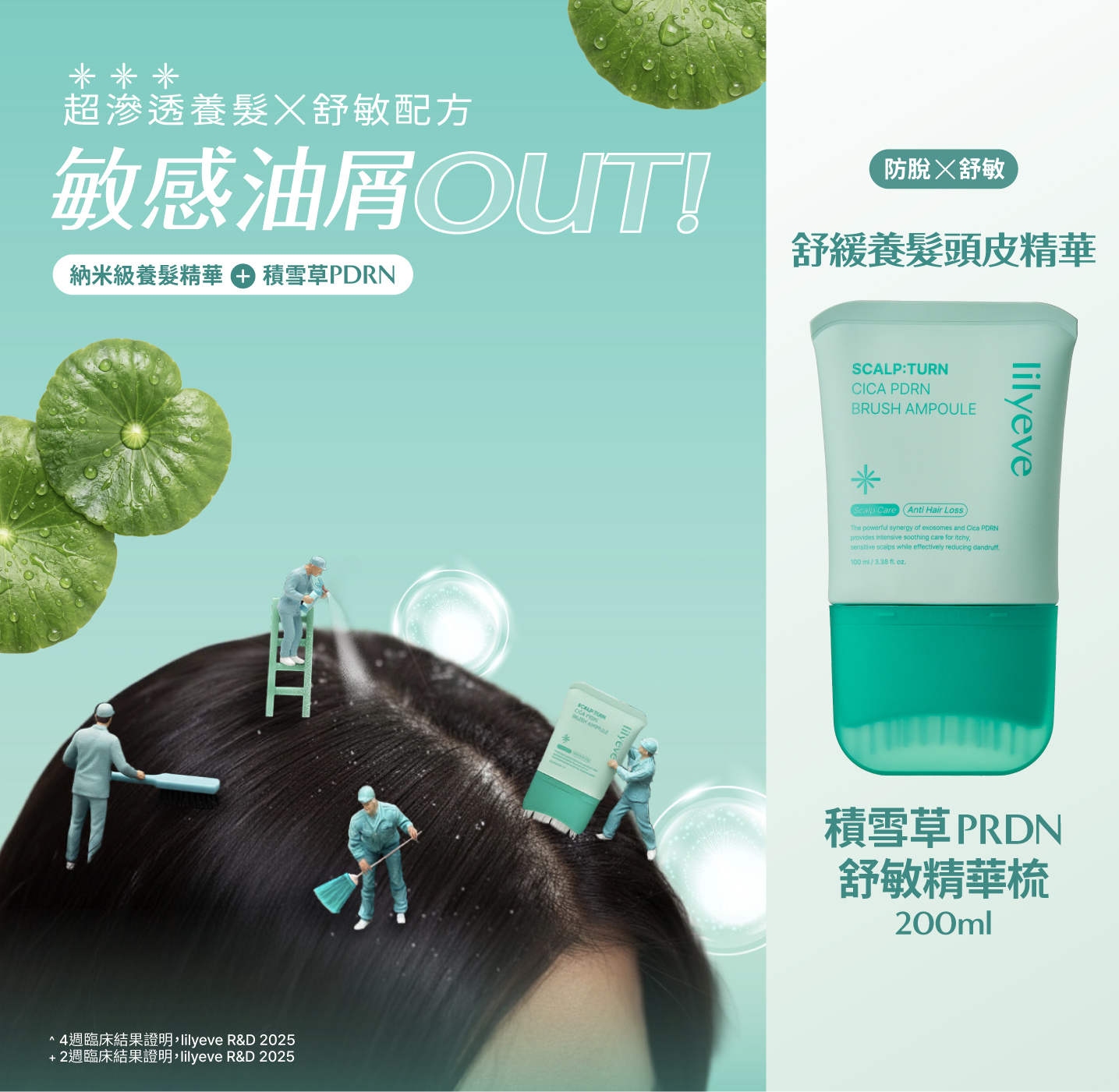 lilyeve｜控油小綠梳囤貨五入組｜積雪草PDRN舒敏精華梳 100ml x5｜控油小綠梳｜SCALP:TURN | 蝦皮購物