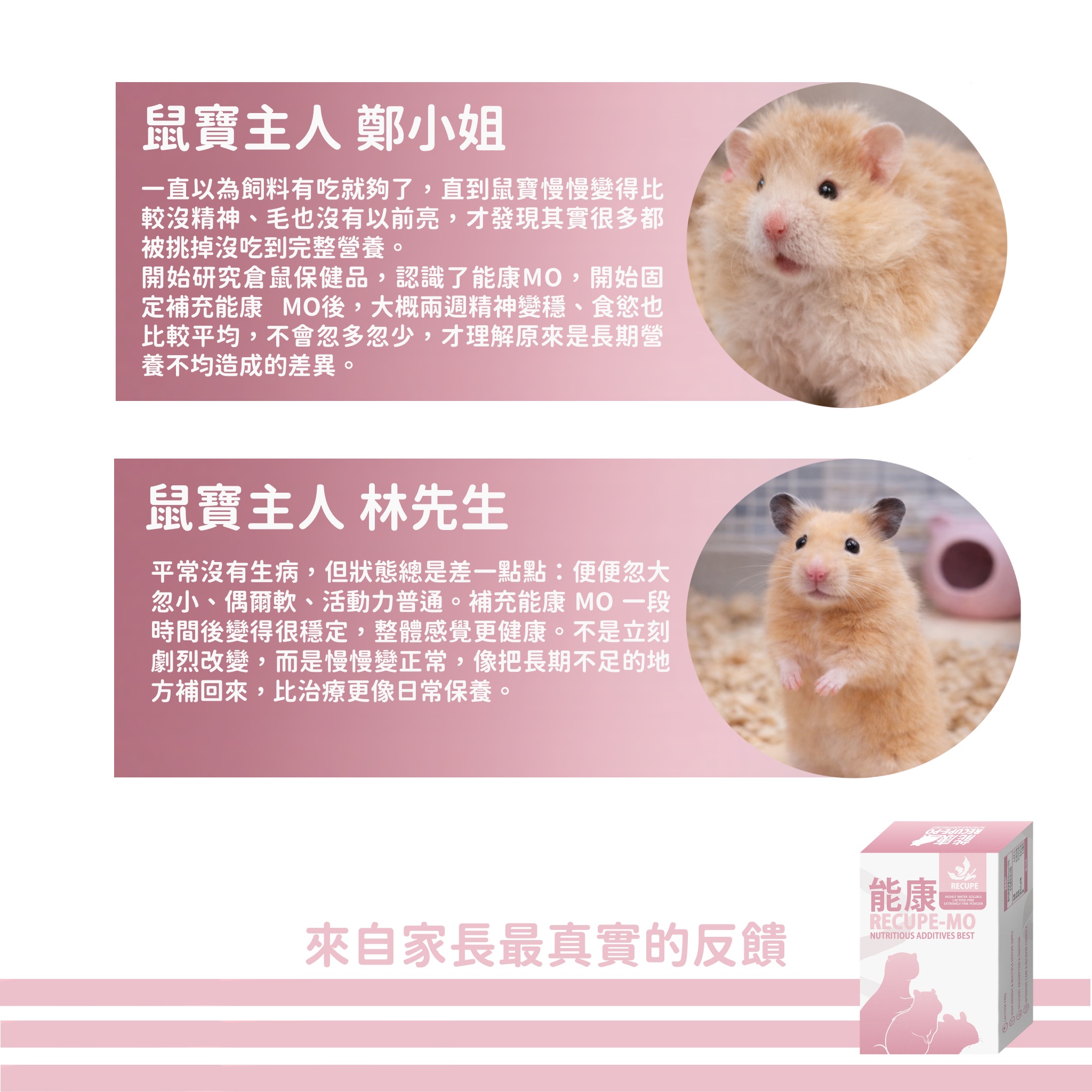 | 勞叔X能康-MO | 倉鼠保健品 獸醫專業營養粉 黃金鼠侏儒倉鼠蜜袋鼯飛鼠倉鼠保健品羊奶粉糊糊高營養鸚鵡奶粉鸚鵡保健 | 蝦皮購物