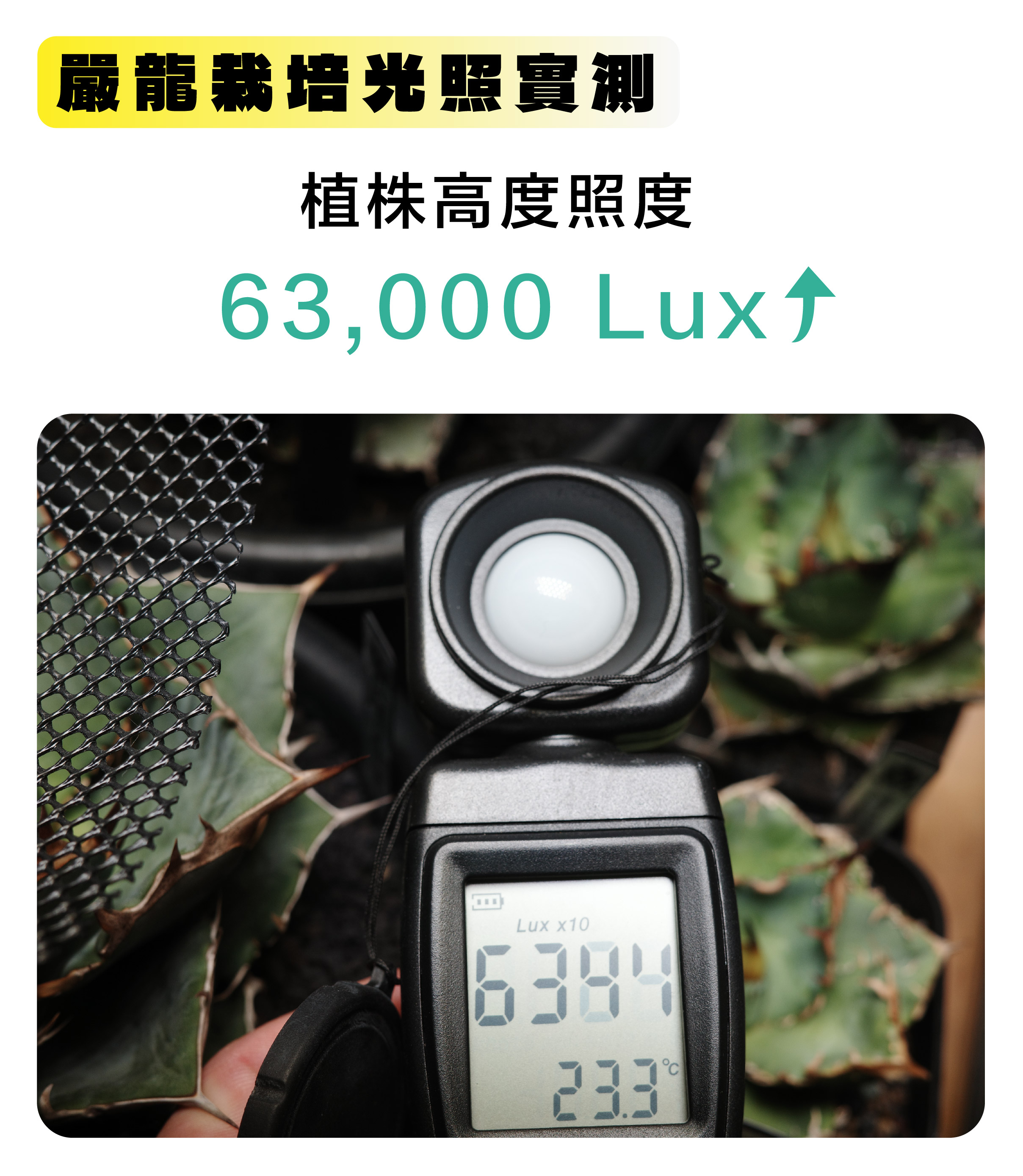 台灣現貨 當日出貨 貴祥植物排燈MAX 效能強化30% 5 排燈珠設計高透光鏡片 塊根 龍舌蘭 多肉 仙人掌專用植物排燈 | 蝦皮購物