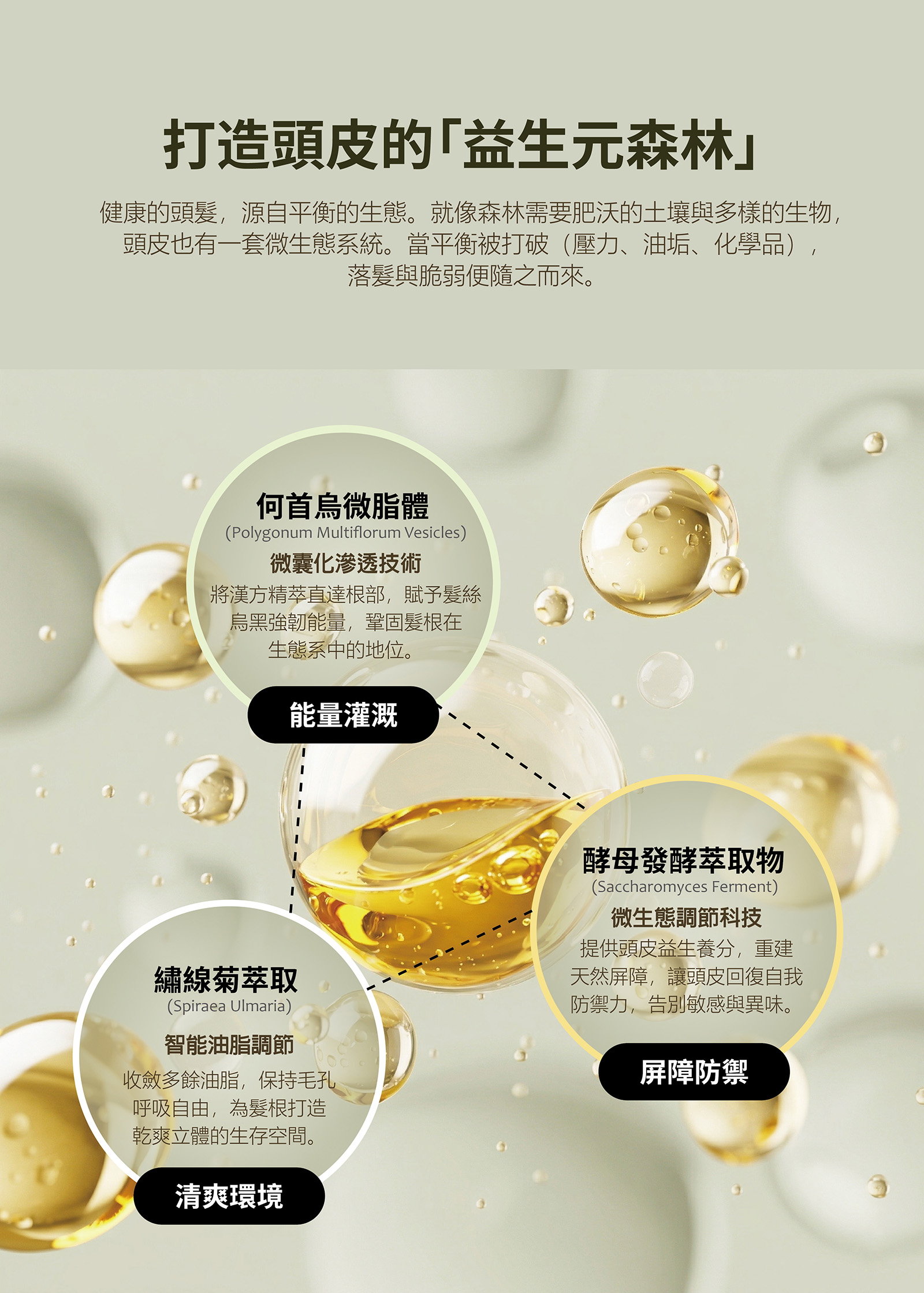 【新上市】嵐 胜肽賦活髮量精華 LEN Peptide Volume Root Revive Essence 120ml | 蝦皮購物