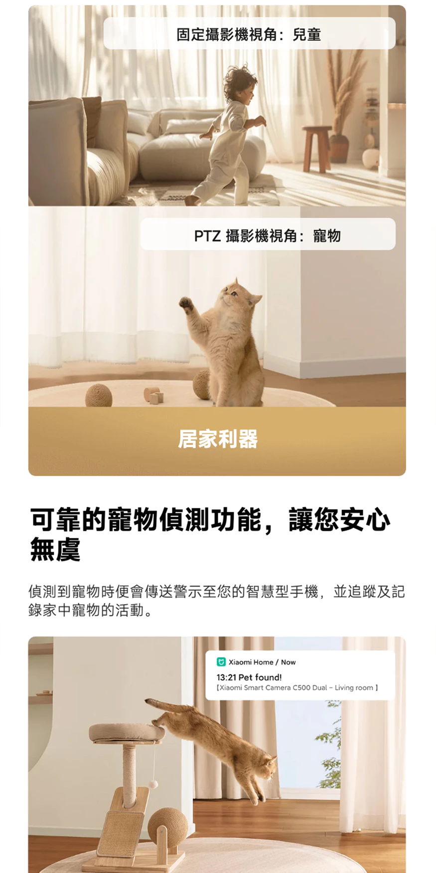 室內外 WiFi 監視器推薦與比較：Tapo、小米、Yoosee 怎麼選？PTT、Dcard 常見差異一次看 (36/53)