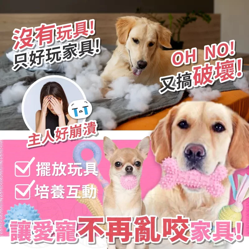 狗狗啃咬玩具 寵物玩具 寵物耐咬玩具 啃咬玩具 TPR玩具 貓狗玩具