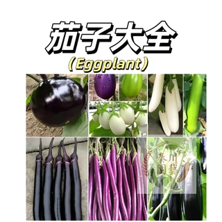 福建1226茄子{威芯11008748}.vuf - 優惠推薦- 居家生活2025年12月