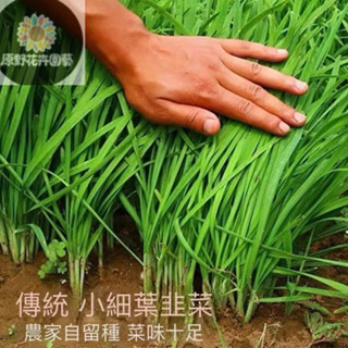 韭菜- 優惠推薦- 2026年1月| 蝦皮購物台灣