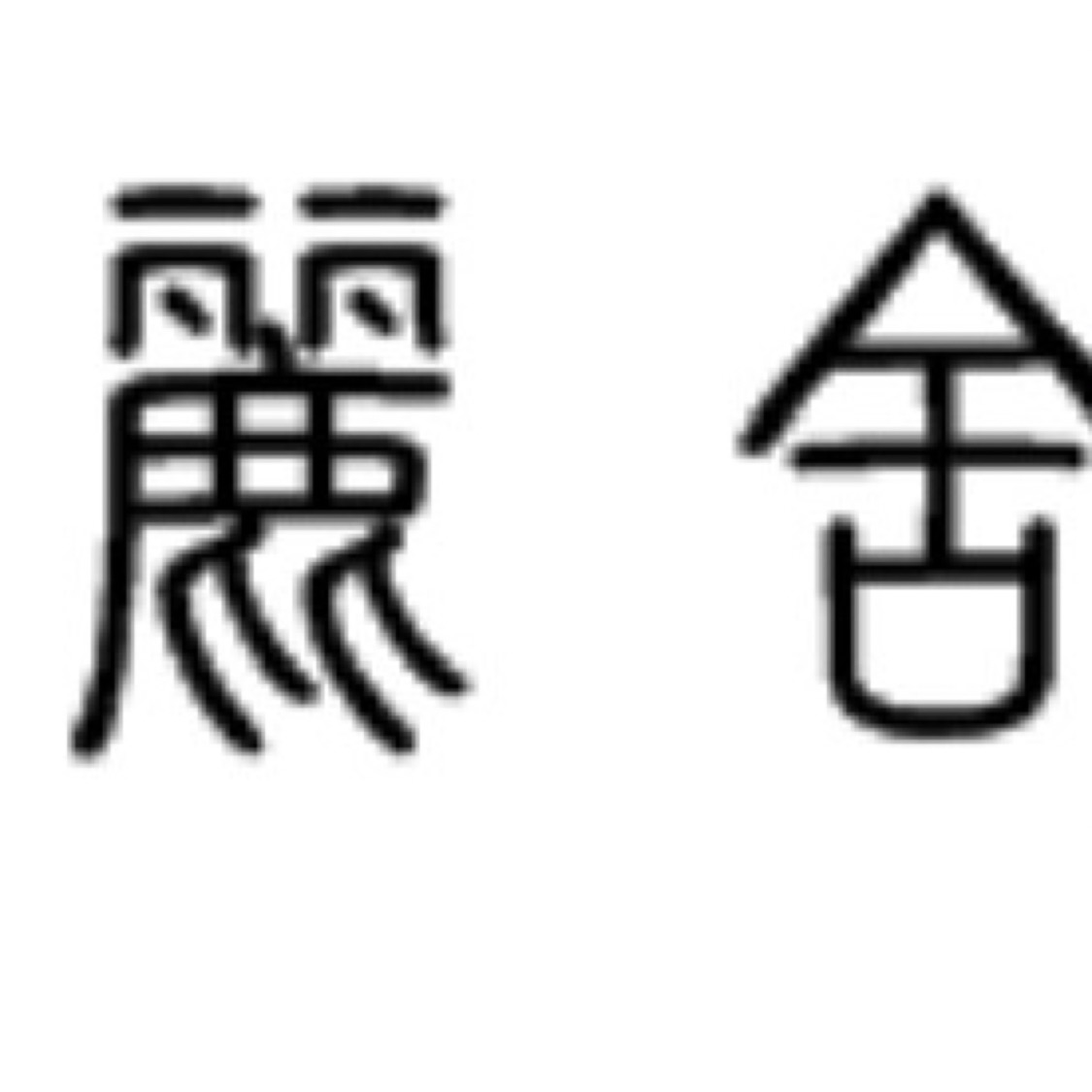 日本丁字葛｜5吋盆～姬型小品盆栽⋯ | 蝦皮購物