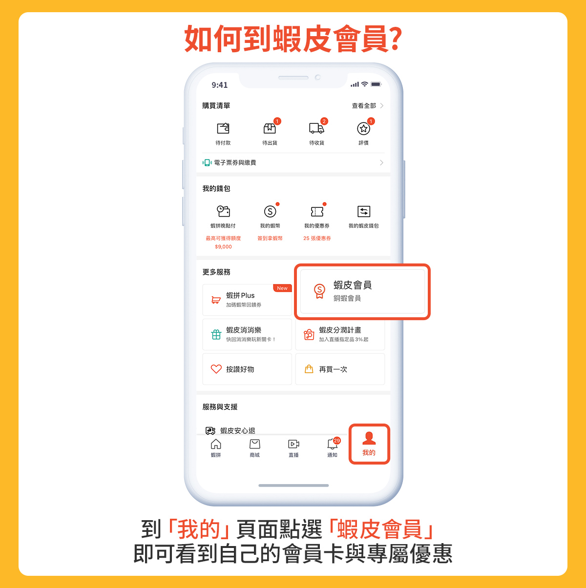 webp_image