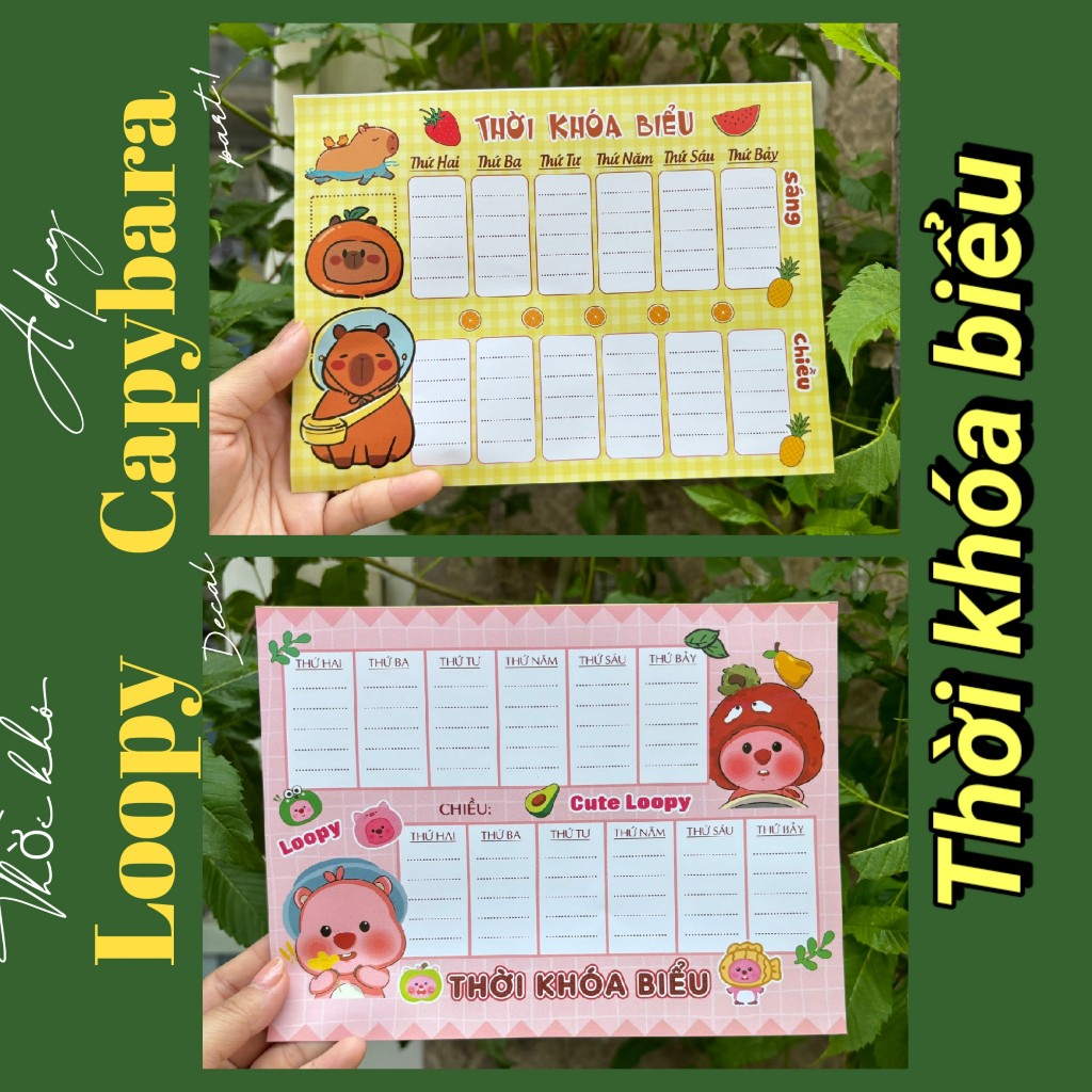 最喜歡的 HOTTREND Adhesive Timetable CAPYBARA - LOOPY - KUROMI - | 蝦皮購物