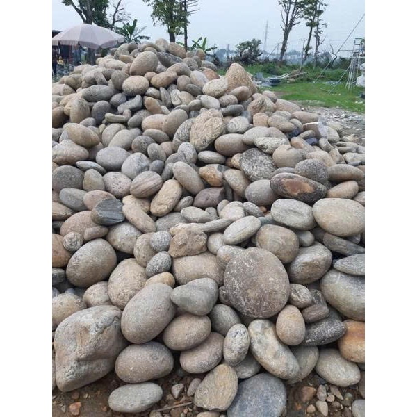 自然流卵石、鵝卵石、多種尺寸、花園裝飾、魚缸裝飾、庭院瓷磚等 | 蝦皮購物